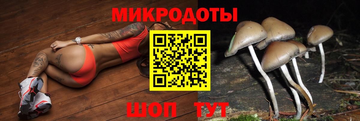 Галлюциногенные грибы мухоморы Верхний Уфалей